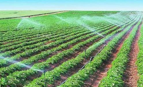 免费看女人操逼视频网站农田高 效节水灌溉